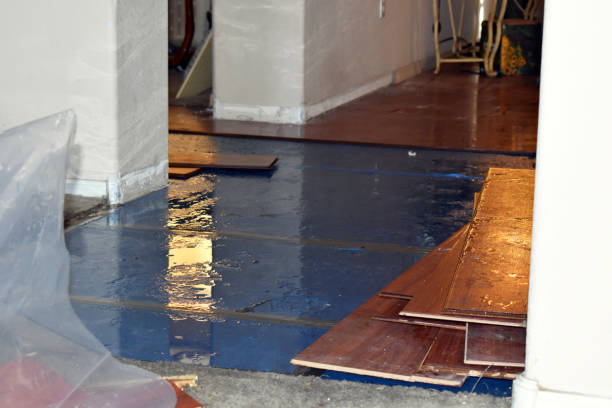 Professional Burst Pipe Cleanup technician working in Lee, ME